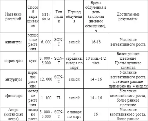 Теплица, парник, зимний сад.