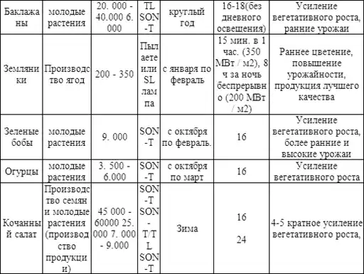 Теплица, парник, зимний сад.