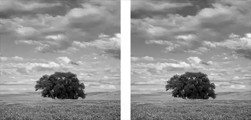 ������� �� �Adobe Photoshop�.