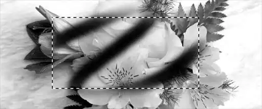 ������� �� �Adobe Photoshop�.