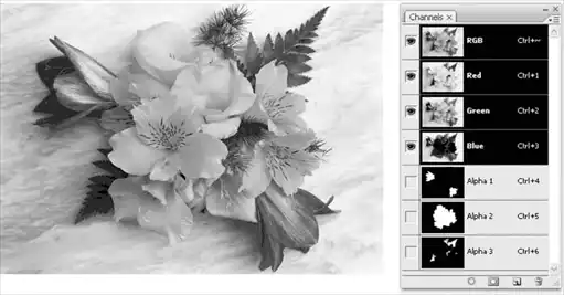 ������� �� �Adobe Photoshop�.