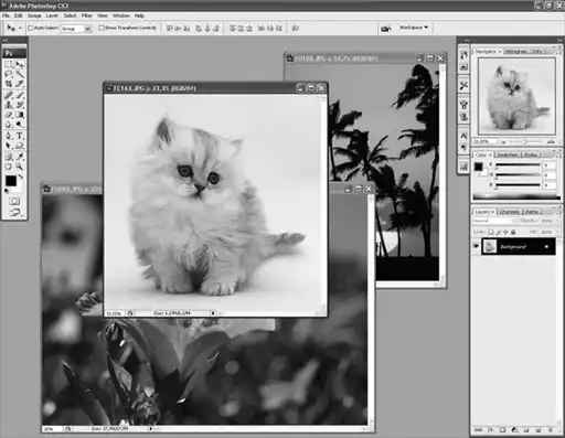 ������� �� �Adobe Photoshop�.