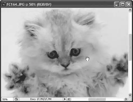 ������� �� �Adobe Photoshop�.
