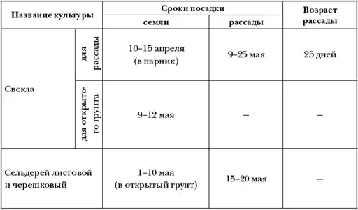 Умные грядки для чудо-урожая.