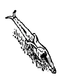 ��������� ������.