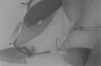������.