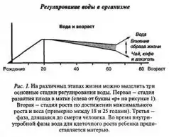 Ваше тело просит воды.