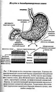Ваше тело просит воды.