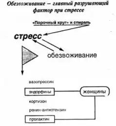 Ваше тело просит воды.