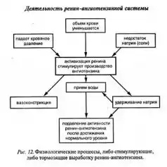 Ваше тело просит воды.