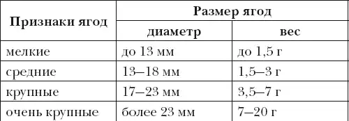 Виноград. Секреты чудо-урожая.
