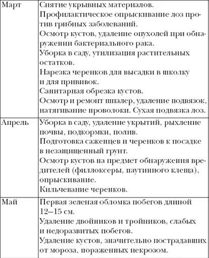Виноград. Секреты чудо-урожая.