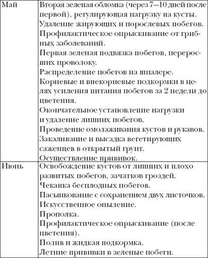 Виноград. Секреты чудо-урожая.