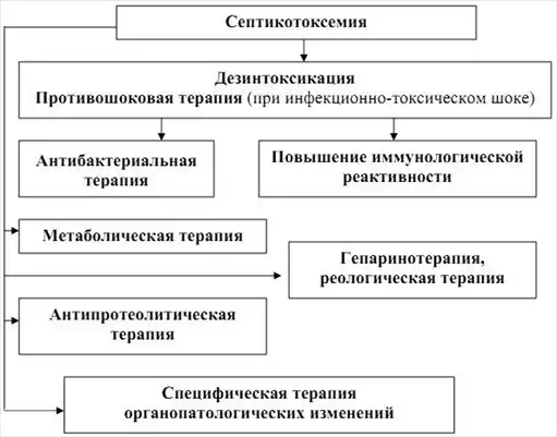 Военно-полевая терапия.