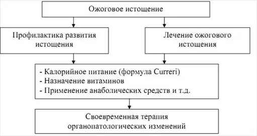 Военно-полевая терапия.
