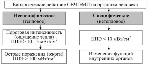 Военно-полевая терапия.