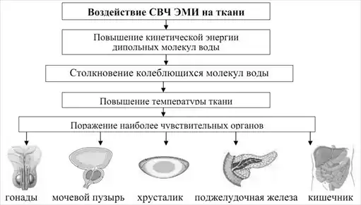 Военно-полевая терапия.