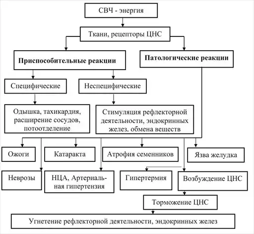 Военно-полевая терапия.