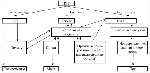 Военно-полевая терапия.
