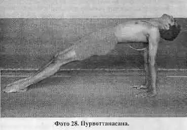 Йога-мала.