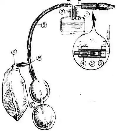 ���� ������, 1956 � 04.