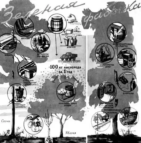 ���� ������, 1956 � 04.