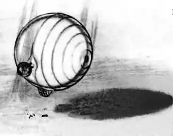 ���� ������, 2000 № 06.