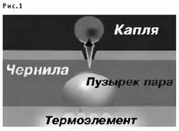 ���� ������, 2003 № 01.
