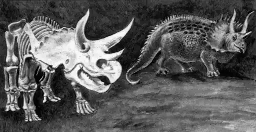 Жизнь до человека.
