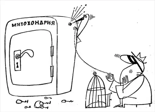 Закономерные чудеса.