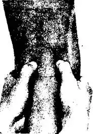 �������� �� �������� �������.